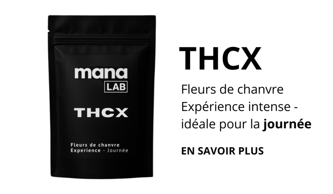 🌞 THCX  — Expérience Journée