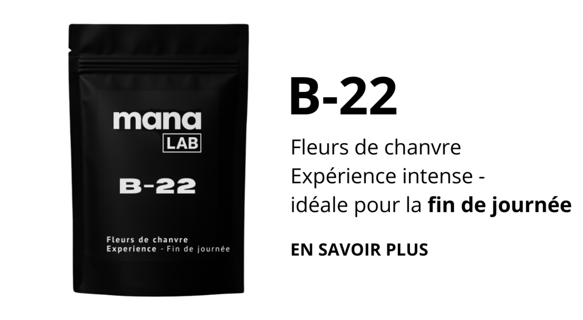 ⚡ B-22 — Expérience Fin de Journée