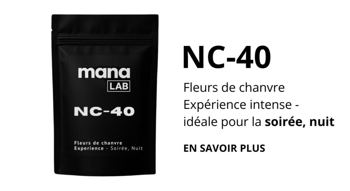 🌙 NC-40 — Expérience Soirée &amp; Nuit